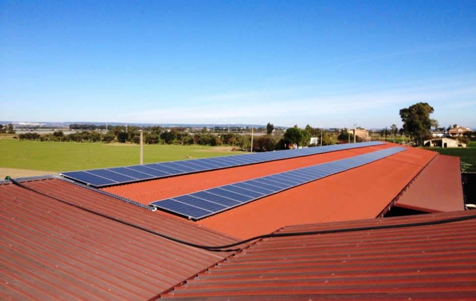 Impianto fotovoltaico azienda agricola